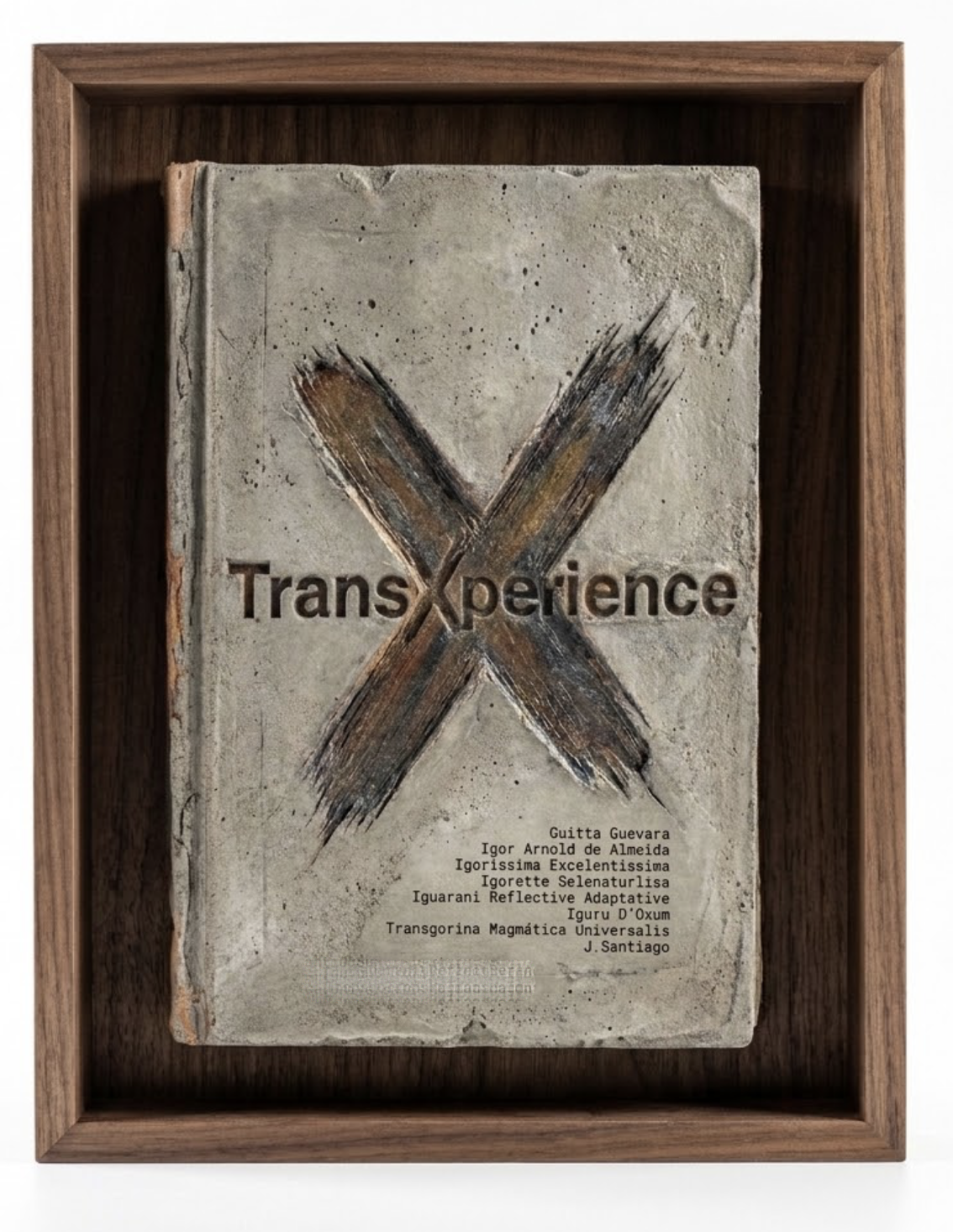 eXclusive transXperience art object