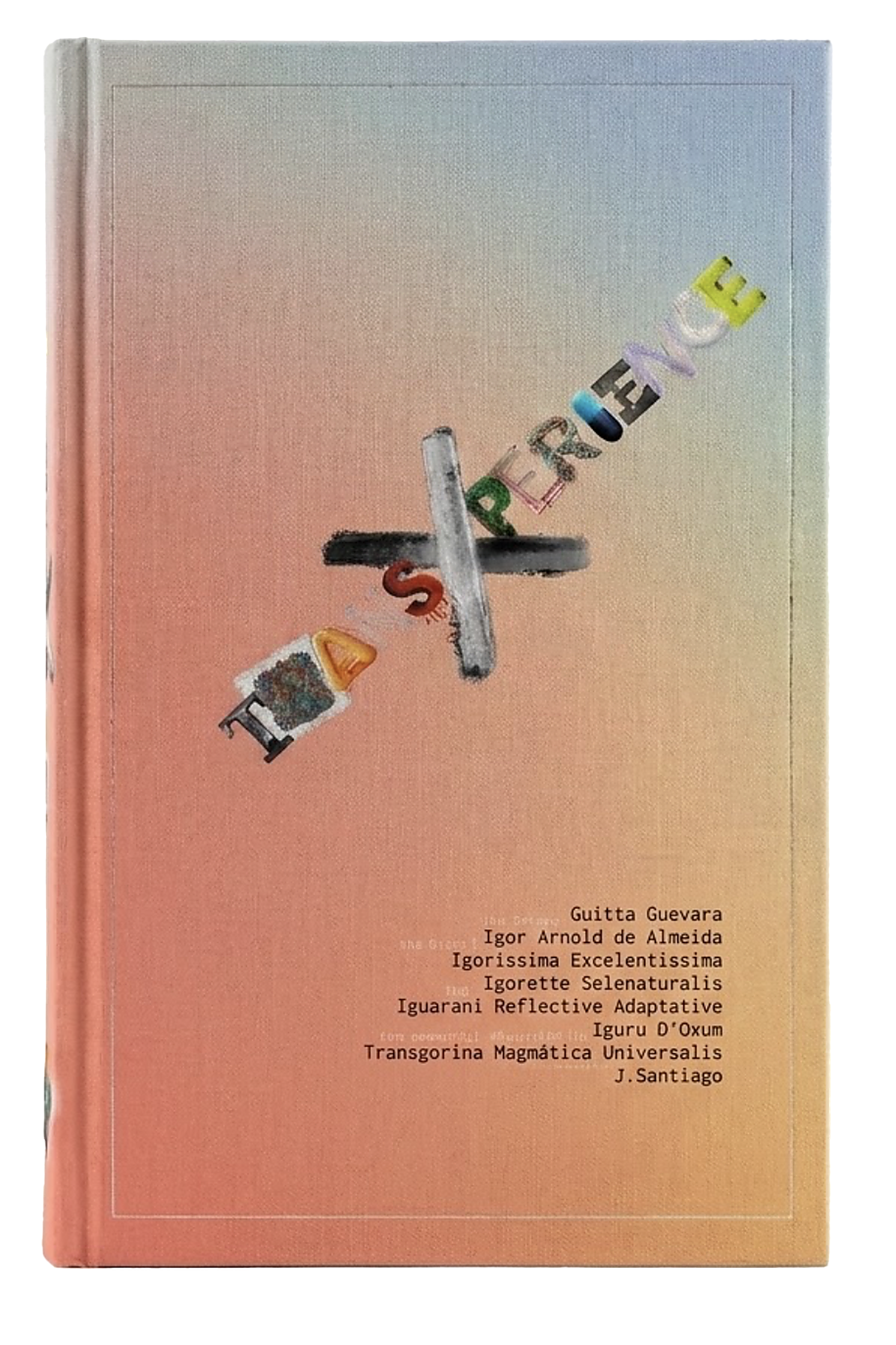 TRANSXPERIENCE for you book cover